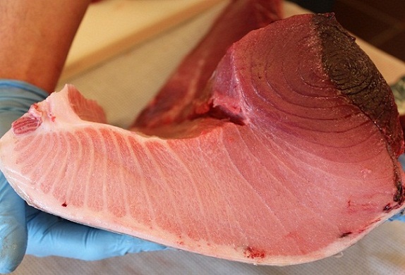 IMG_5795.jpg IMG_5795.jpg