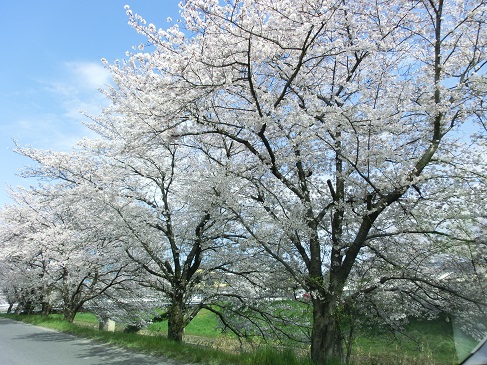CIMG0411.JPG