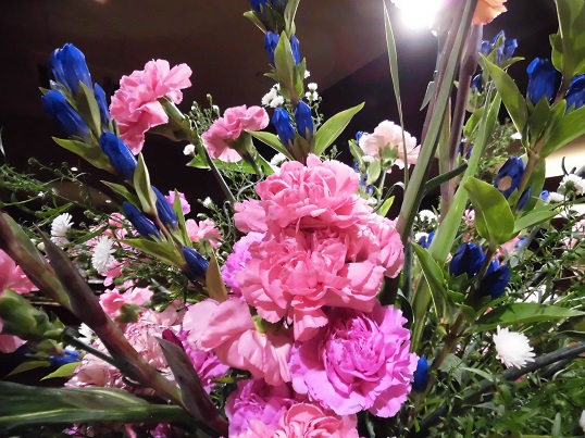 CIMG0803.JPG CIMG0803.JPG
