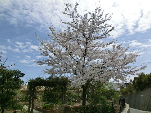 CIMG0490.jpg