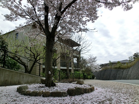CIMG0521.jpg