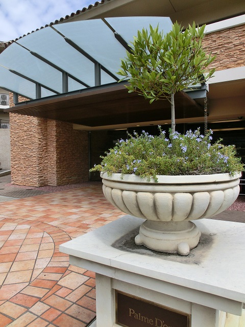 CIMG0542.jpg