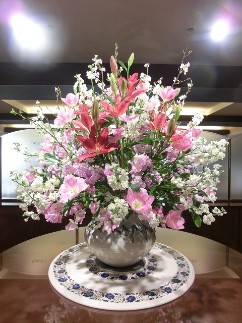 CIMG9586.JPG CIMG9586.JPG