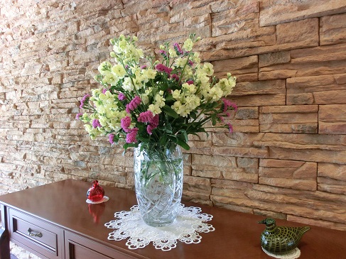 CIMG9594.JPG CIMG9594.JPG